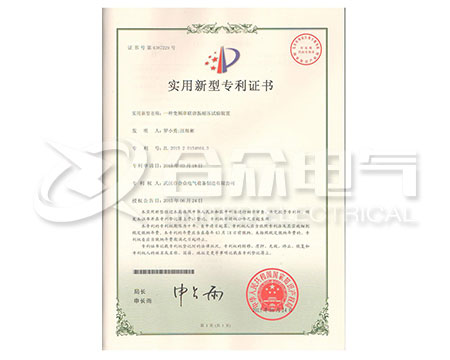 專發(fā)明專利 發(fā)明專利